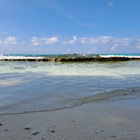Summer Sky Тодду Экстерьер фото